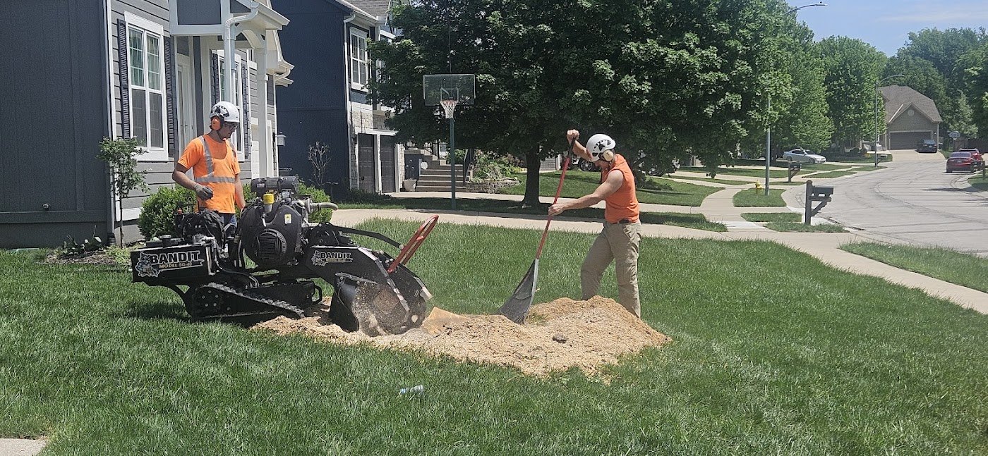 Stump Grinding