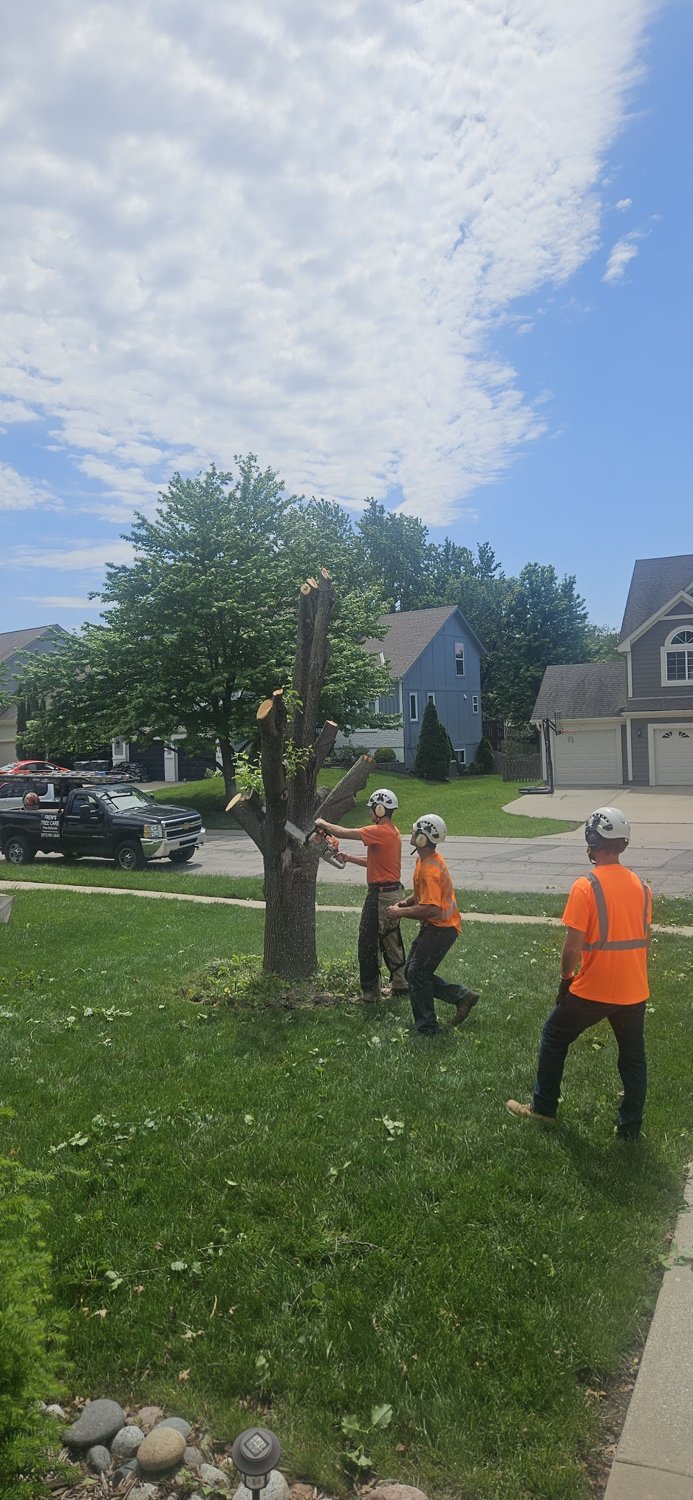 Shrub Pruning